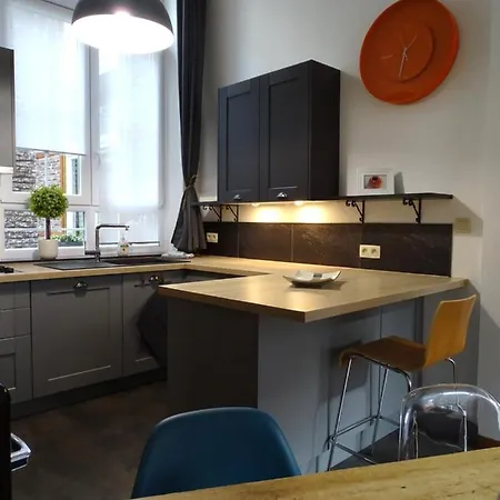 Du Cygne Apartment Liege
